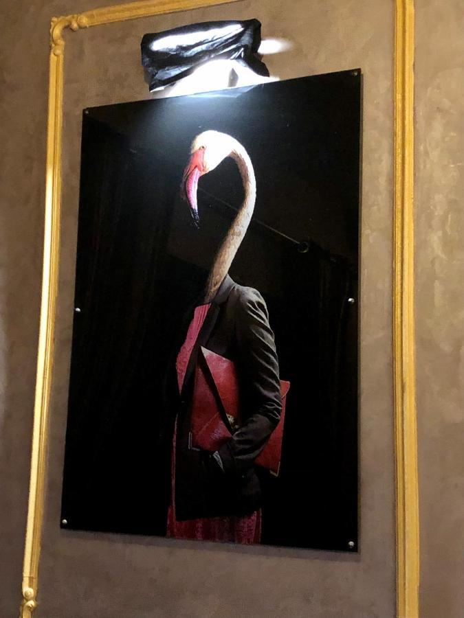 Hotel Saint Louis Aigues-Mortes Zewnętrze zdjęcie